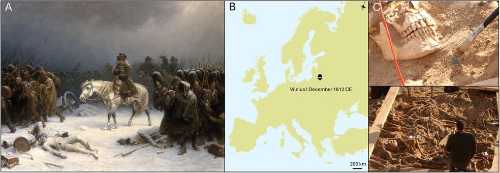 (A) Pintura datada de 1851, intitulada "A retirada de Napoleão de Moscou", de Adolph Northen, retratando as condições da retirada do exército de Napoleão. (B) Mapa geográfico da Europa mostrando a localização e a datação do sítio arqueológico em Vilnius, Lituânia, de onde as amostras do nosso estudo foram coletadas. (C) Fotografias in situ tiradas durante a escavação das trincheiras que contêm os corpos dos soldados napoleônicos — Foto: Barbieri et al.