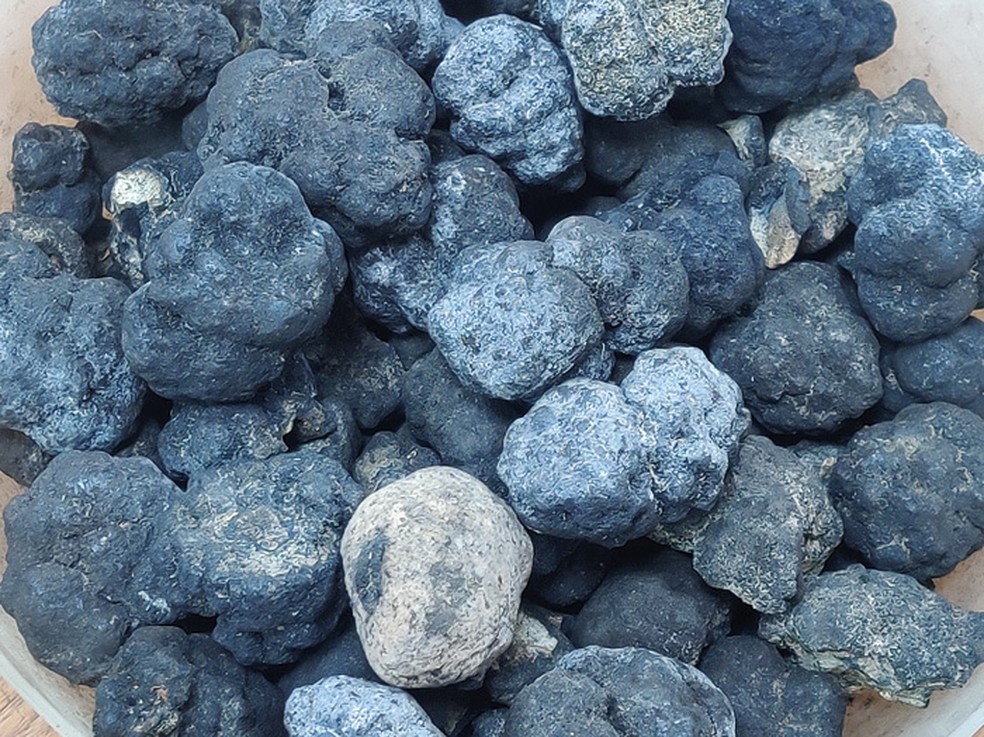 Exemplo de nódulos polimetálicos encontrados no oceano, fontes de minerais como manganês, níquel, cobre e cobalto — importantes para a indústria de eletrônicos. — Foto: Getty Images