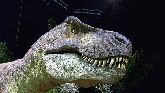 "T.rex" não era tão inteligente como se acreditava, descobrem cientistas