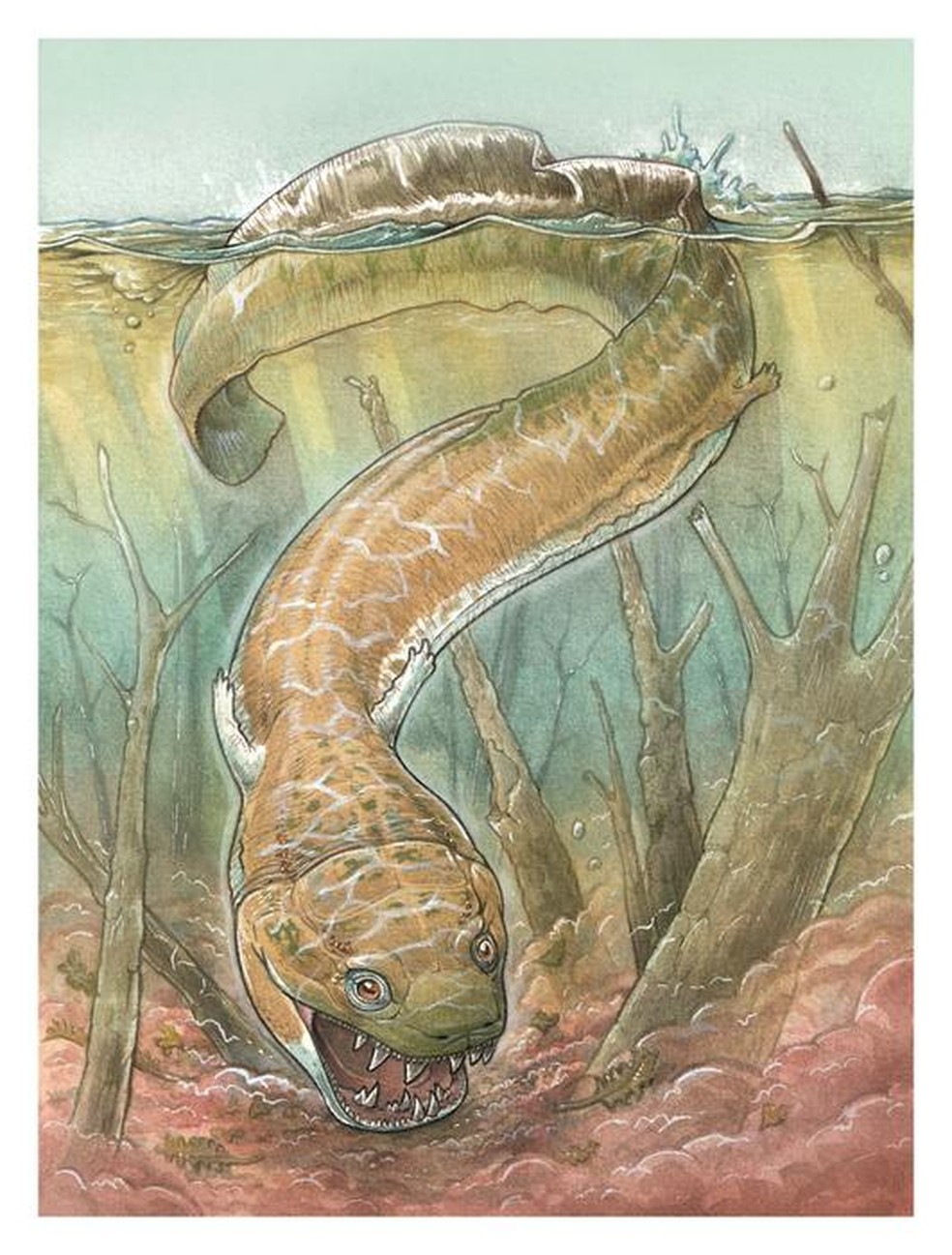 Monstro do pântano' de 280 milhões de anos é descoberto na África