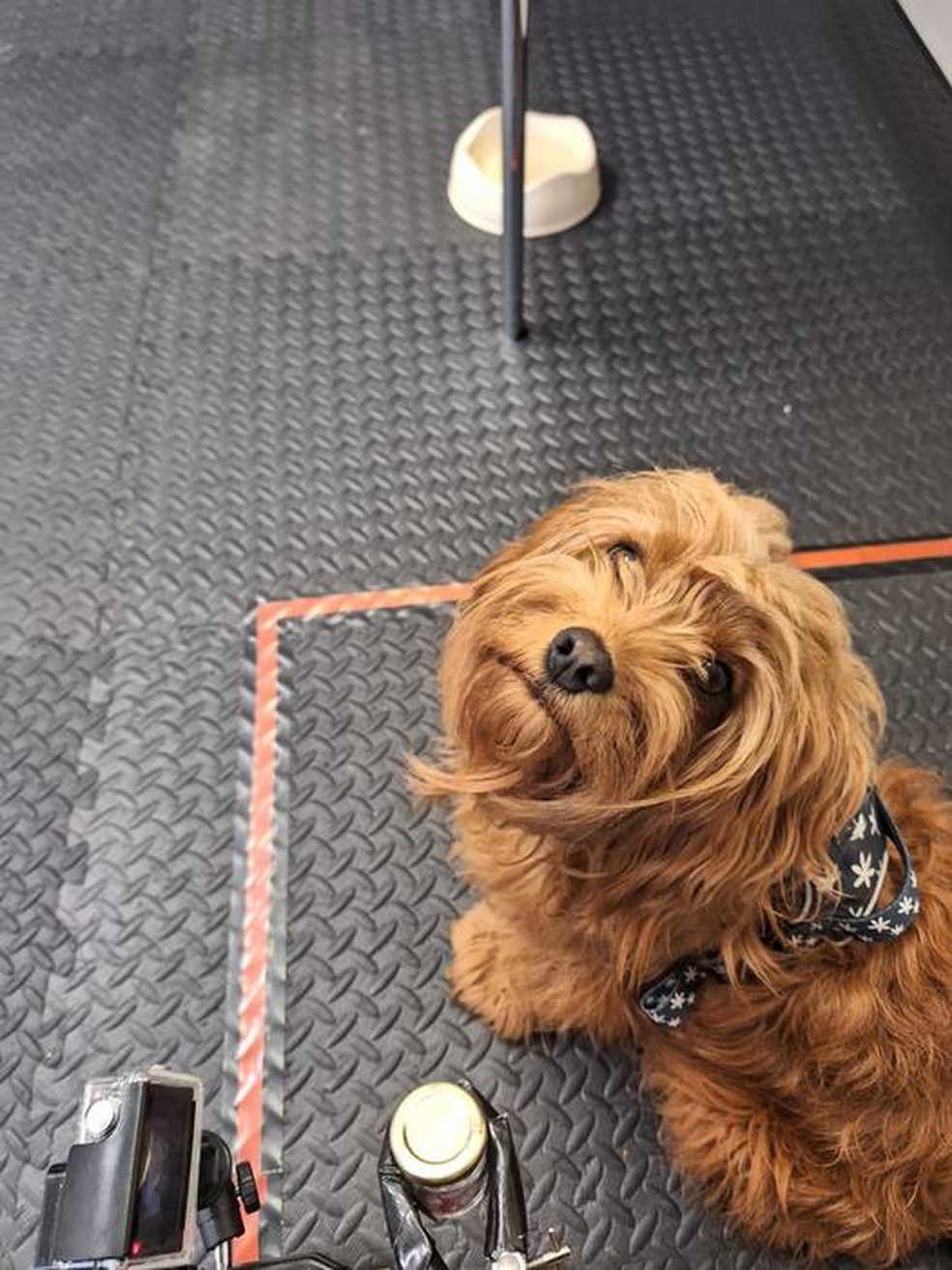 O participante Freddie sentado ao lado do frasco contendo a amostra do odor — Foto: University of Bristol