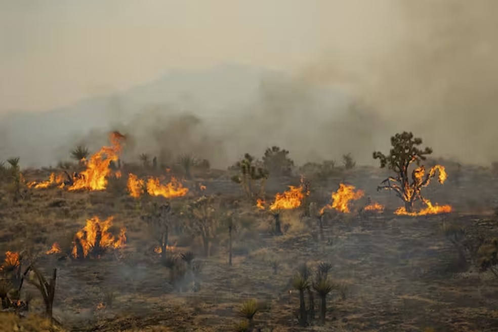 Embora as consequências do aquecimento global, desde incêndios florestais até inundações, sejam reais, a retórica excessivamente alarmista só serve para intensificar a ansiedade climática — Foto: AP Photo/Ty ONeil