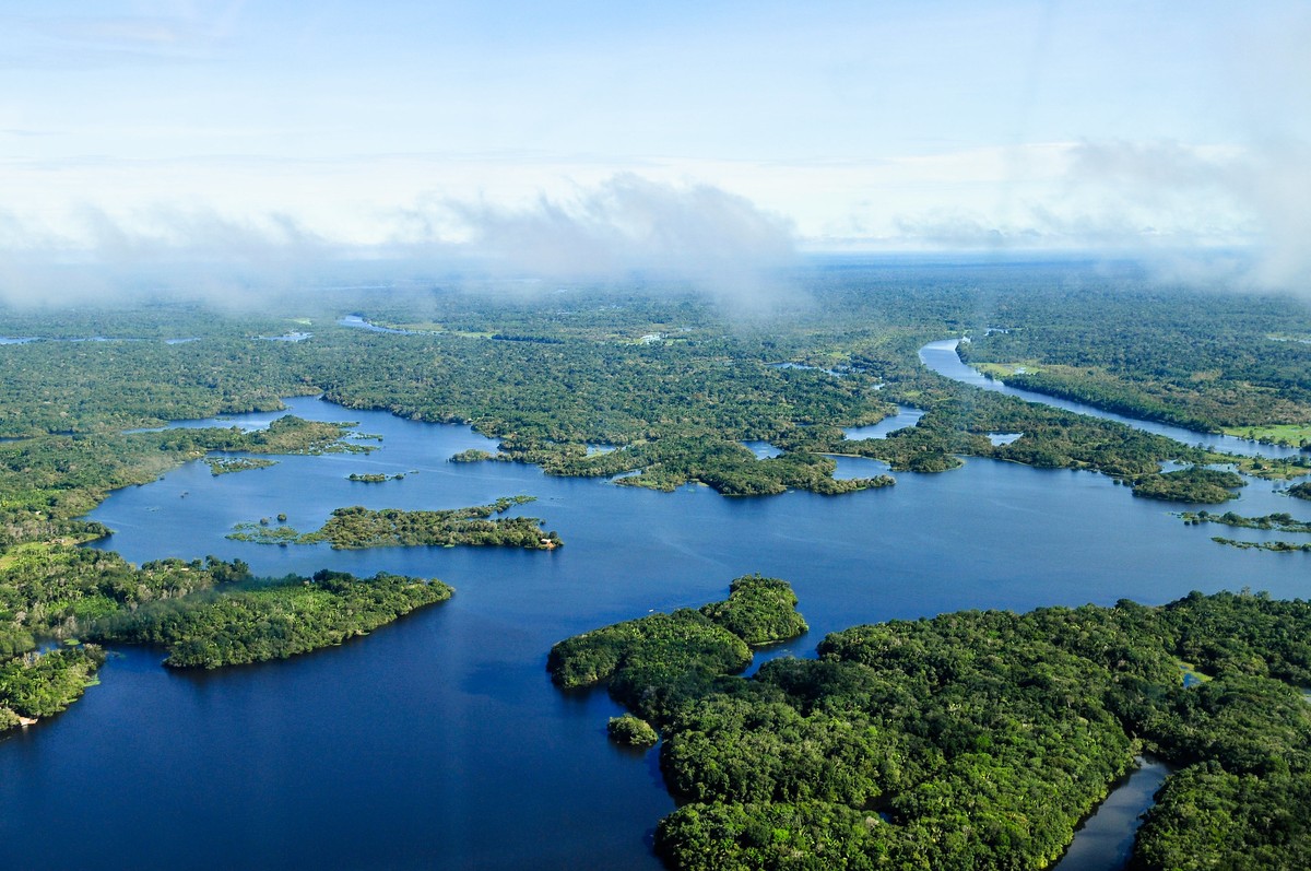 O fim da Amazônia? Estudo sugere que ela pode começar a morrer ainda neste século