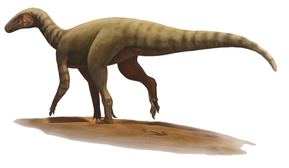 Nova espécie de antepassado do T-Rex é descoberta no Rio Grande do Sul -  Olhar Digital