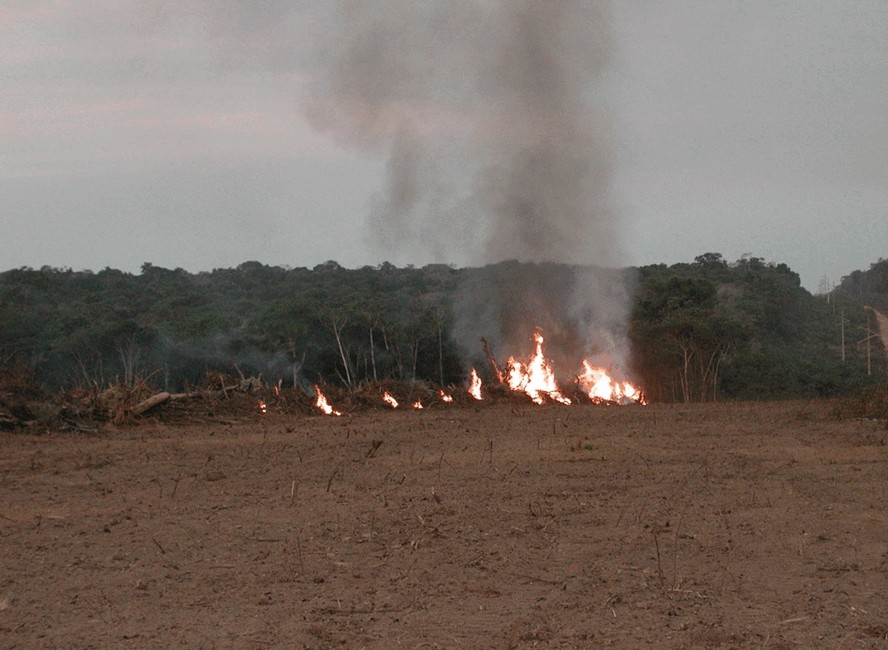 A maioria dos períodos com alto número de focos de incêndios está mais relacionada com as queimadas agrícolas e com o desmatamento