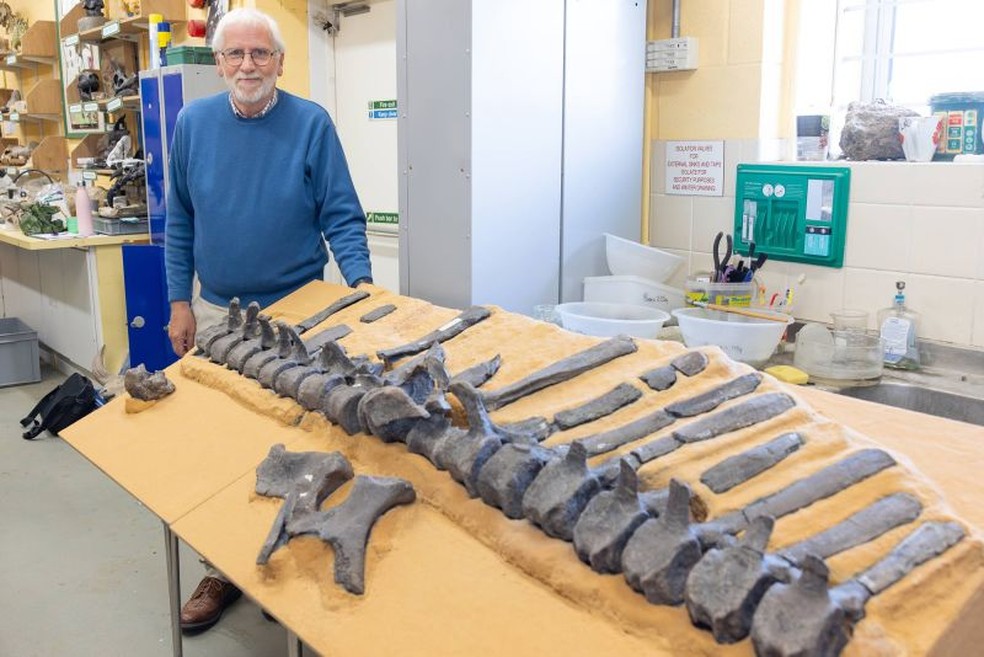 Dr. Lockwood, da Universidade de Portsmouth e do Museu de História Natural, foi quem identificou a nova espécie — Foto: Universidade de Portsmouth
