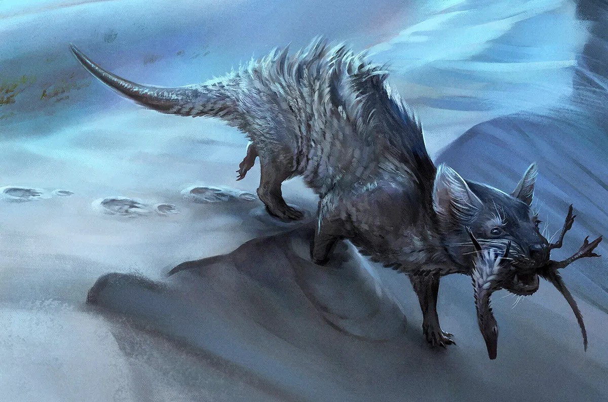 Pegadas fossilizadas de grandes mamíferos encontradas na Formação Botucatu