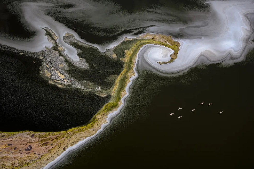 David Swindler, que conquistou o terceiro lugar no concurso de Fotógrafo Aéreo do Ano, capturou esta imagem de sete flamingos voando sobre um lago — Foto: David Swindler
