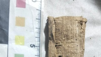 Escavações de caixões contendo múmias de "cantores do deus Amon" no Egito — Foto: Ministério do Turismo e Antiguidades do Egito