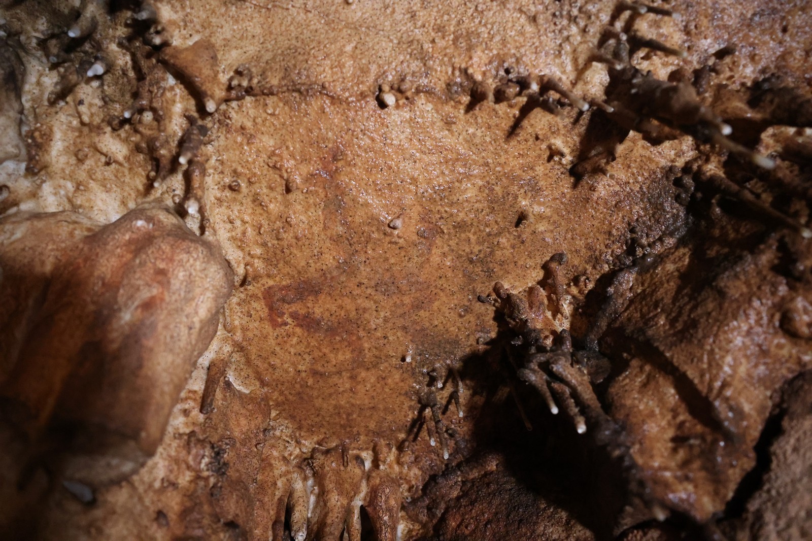 Cabeça de auque pintada – primeira figura animal descoberta em Cova Dones, confirmando a existência de arte rupestre paleolítica no local — Foto: Ruiz-Redondo/Barciela/Martorell