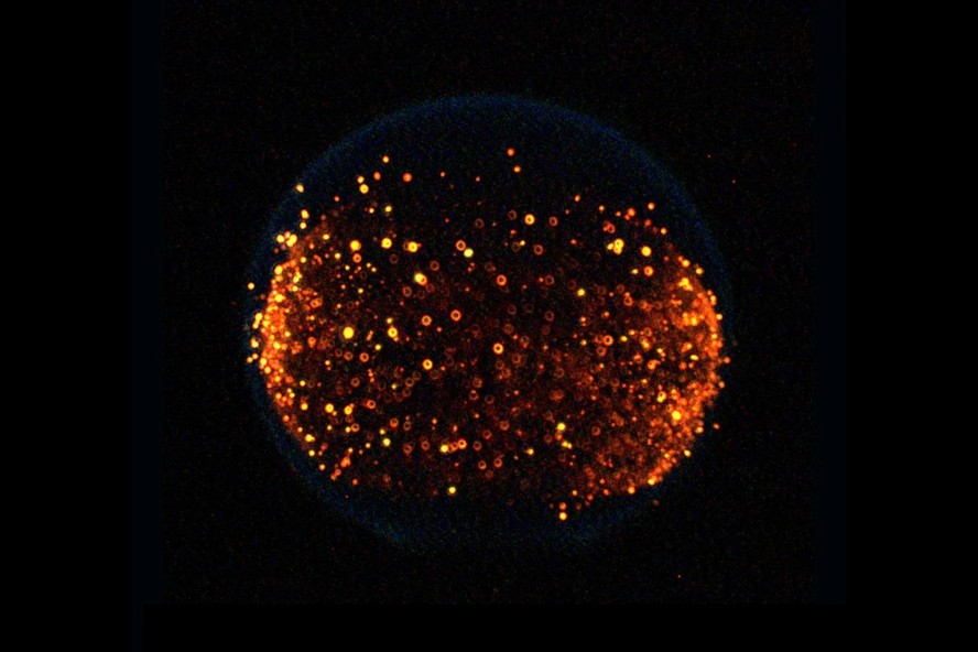 Nasa planeja testar o comportamento do fogo na superfície da Lua a partir de 2026