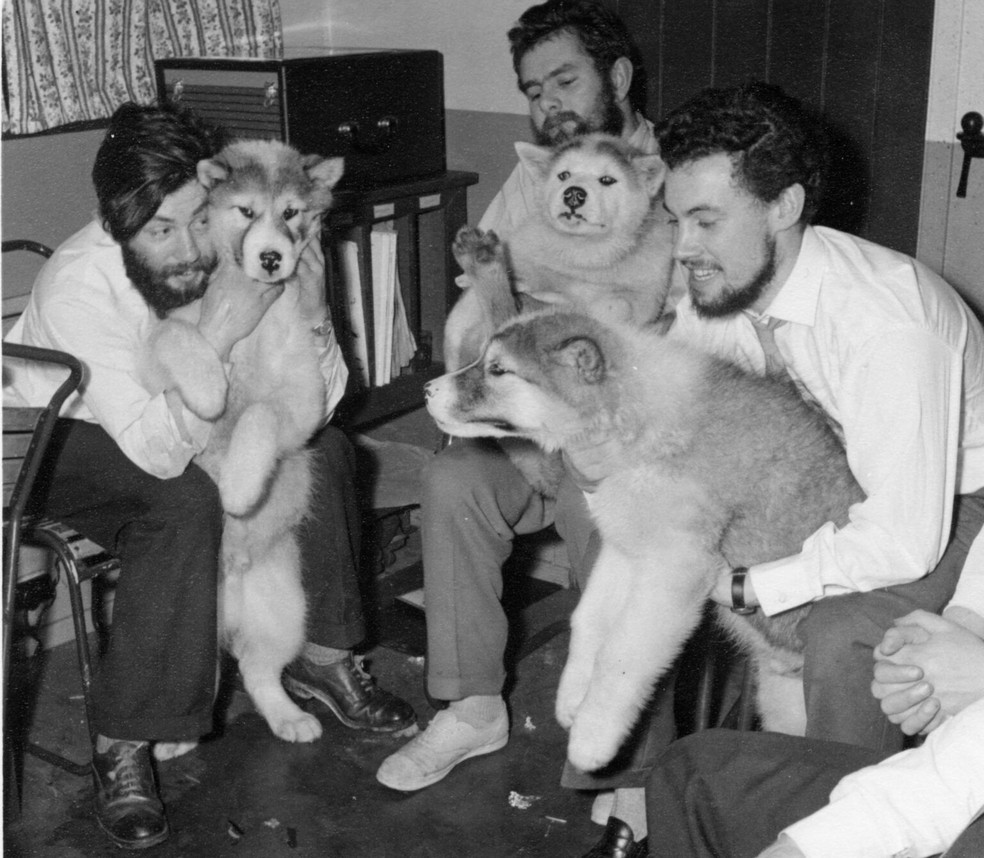 Dennis Bell (à esquerda) com seus colegas e os cães que os ajudaram a trabalhar na Antártida, na Base da Baía do Almirantado, em 1959 — Foto: British Antarctic Survey