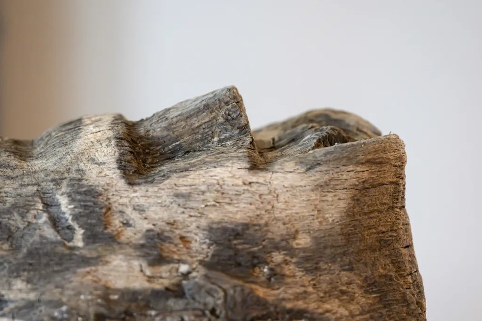 Rosto esculpido em madeira achado em lago polonês — Foto: PAP/Jakub Kaczmarczyk