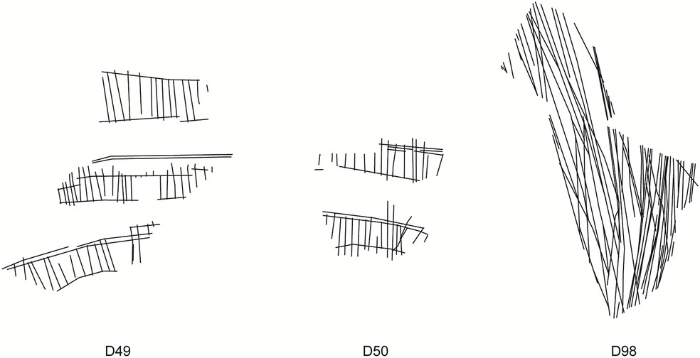 As gravuras exibem um nível extremamente alto de regularidade em termos de paralelismo — Foto: errara et al, PLoS One 21(2): e0338509, CC by 4.0