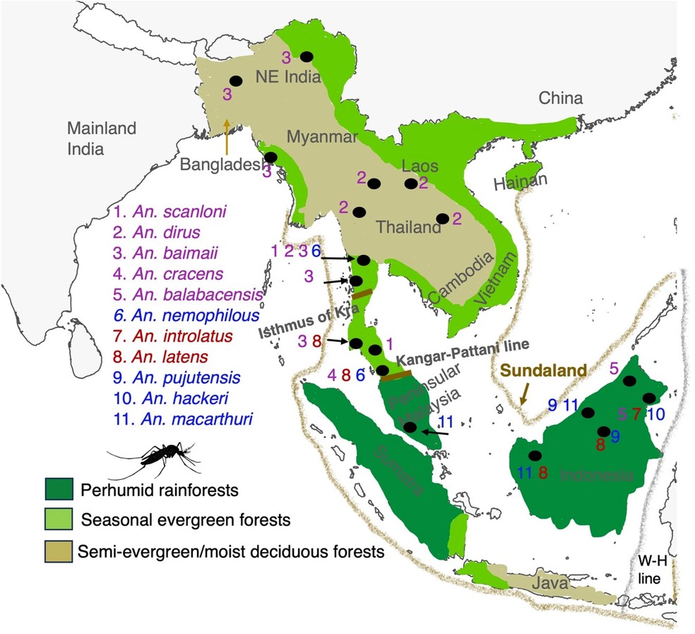 Mapa indicando a localização de cada espécie coletada para o estudo, ao mesmo tempo que indica as regiões de cobertura florestal — Foto: Upasana Shyamsunder Singh/Scientific Reports