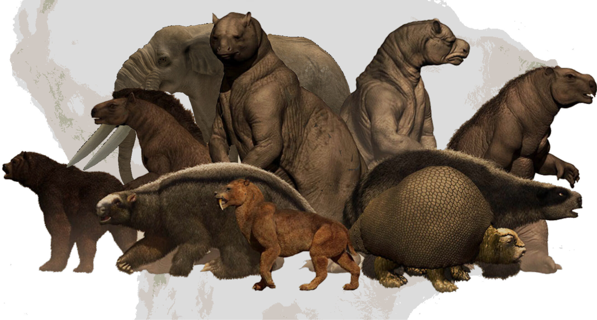 Antigos humanos se alimentavam de preguiças gigantes, diz estudo