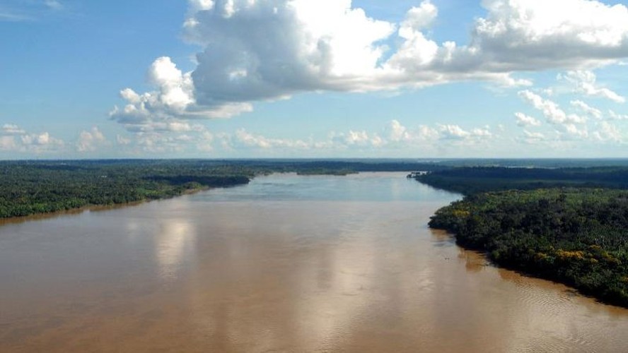Planícies alagadas da Amazônia podem virar savanas por causa da instabilidade do lençol freático