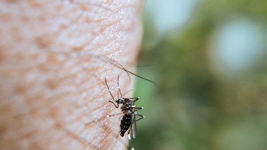Variação da temperatura do Oceano Índico pode gerar novos surtos de dengue 