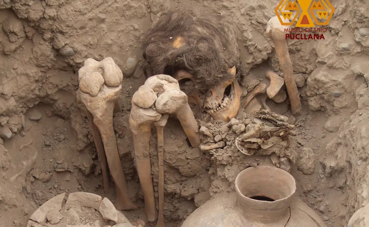 Múmia cabeluda de mil anos é encontrada em bairro residencial no Peru | Arqueologia