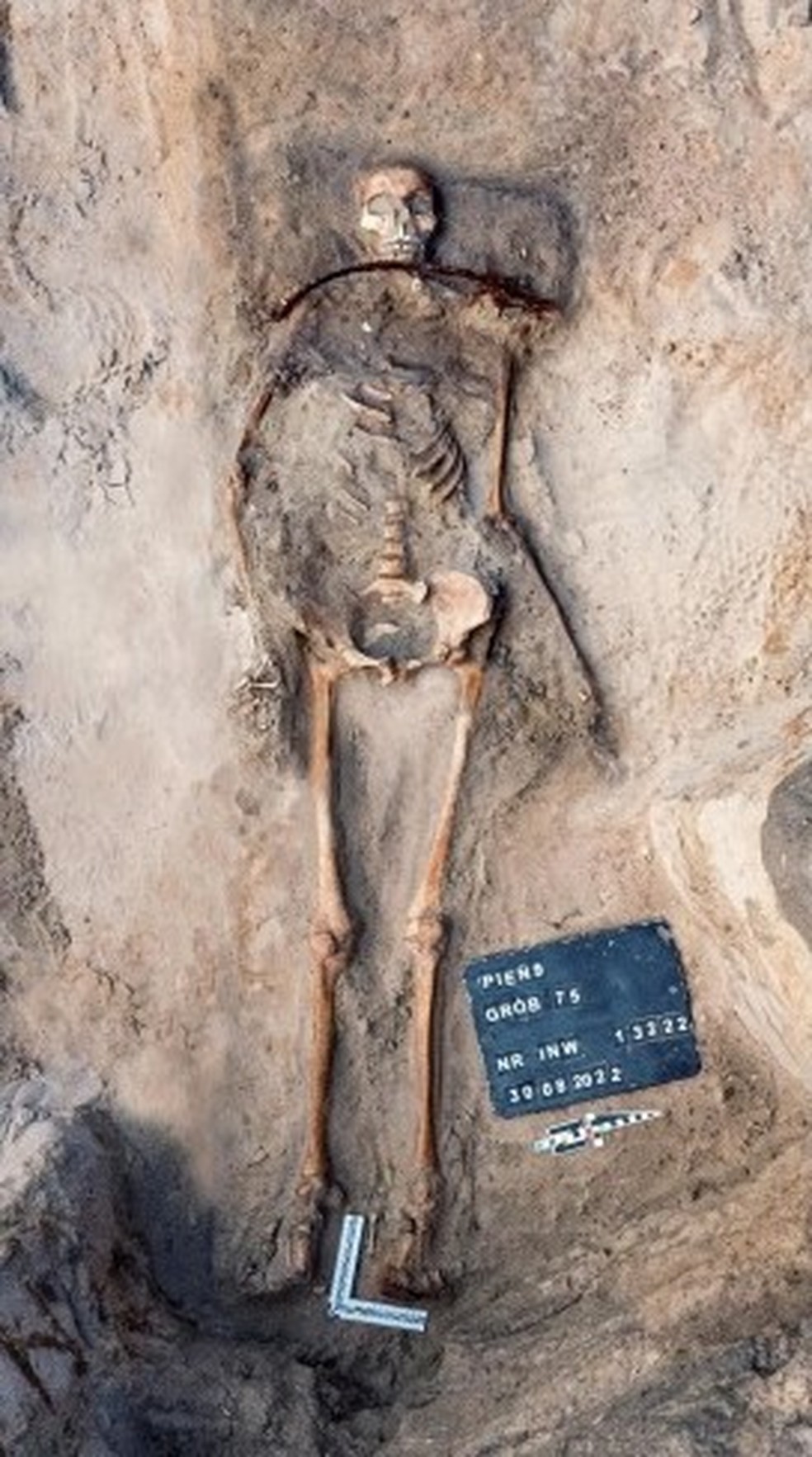 Os restos mortais da jovem com uma foice enferrujada posicionada sobre o pescoço — Foto: Journal of Archaeological Science: Reports