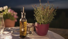 O que posso usar no lugar do azeite de oliva? Confira alternativas saudáveis 