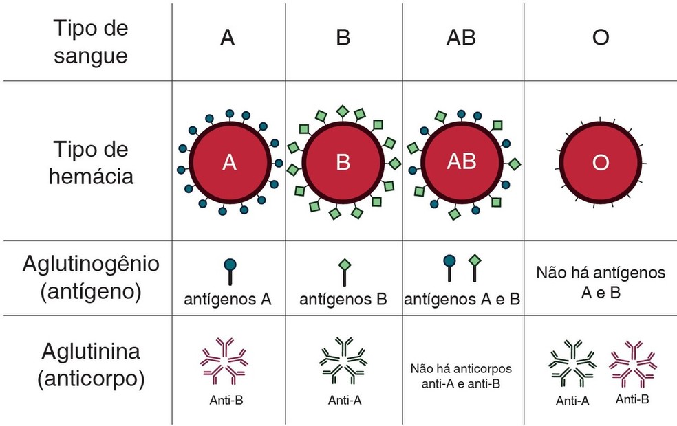  FernandesJCR /Wikimedia Commons