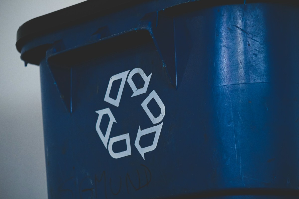 Nova organela funciona como "centro de reciclagem" dentro das nossas células