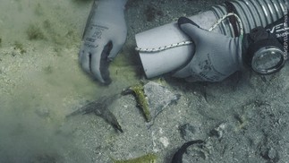 Os restos do navio já fazem parte do ecossistema do local, e serve de casa para espécies — Foto: G. Issaris