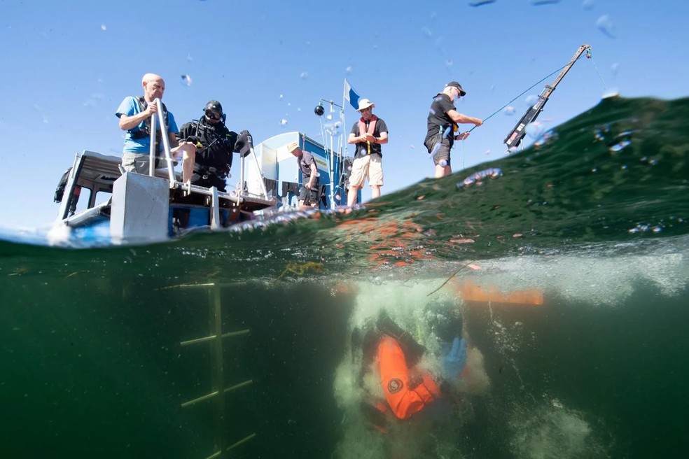 Brendan Foley supervisiona enquanto outro arqueólogo entra na água no local do naufrágio de Gribshunden em 2022. “Encontramos coisas neste local que não têm precedentes arqueológicos”, disse ele — Foto: Divulgação/Brett Seymour