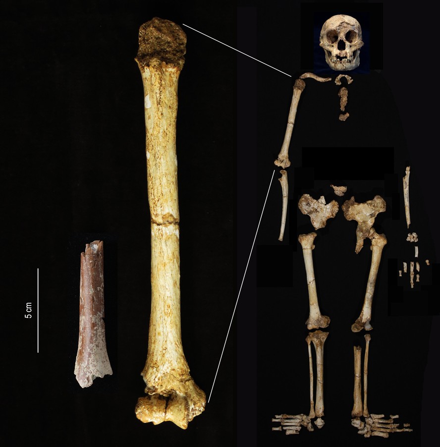 Encontrado osso que pertencia ao menor ancestral humano conhecido até hoje