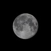 "Lua Cheia Rosa": entenda o fenômeno celeste e saiba de onde veio seu nome