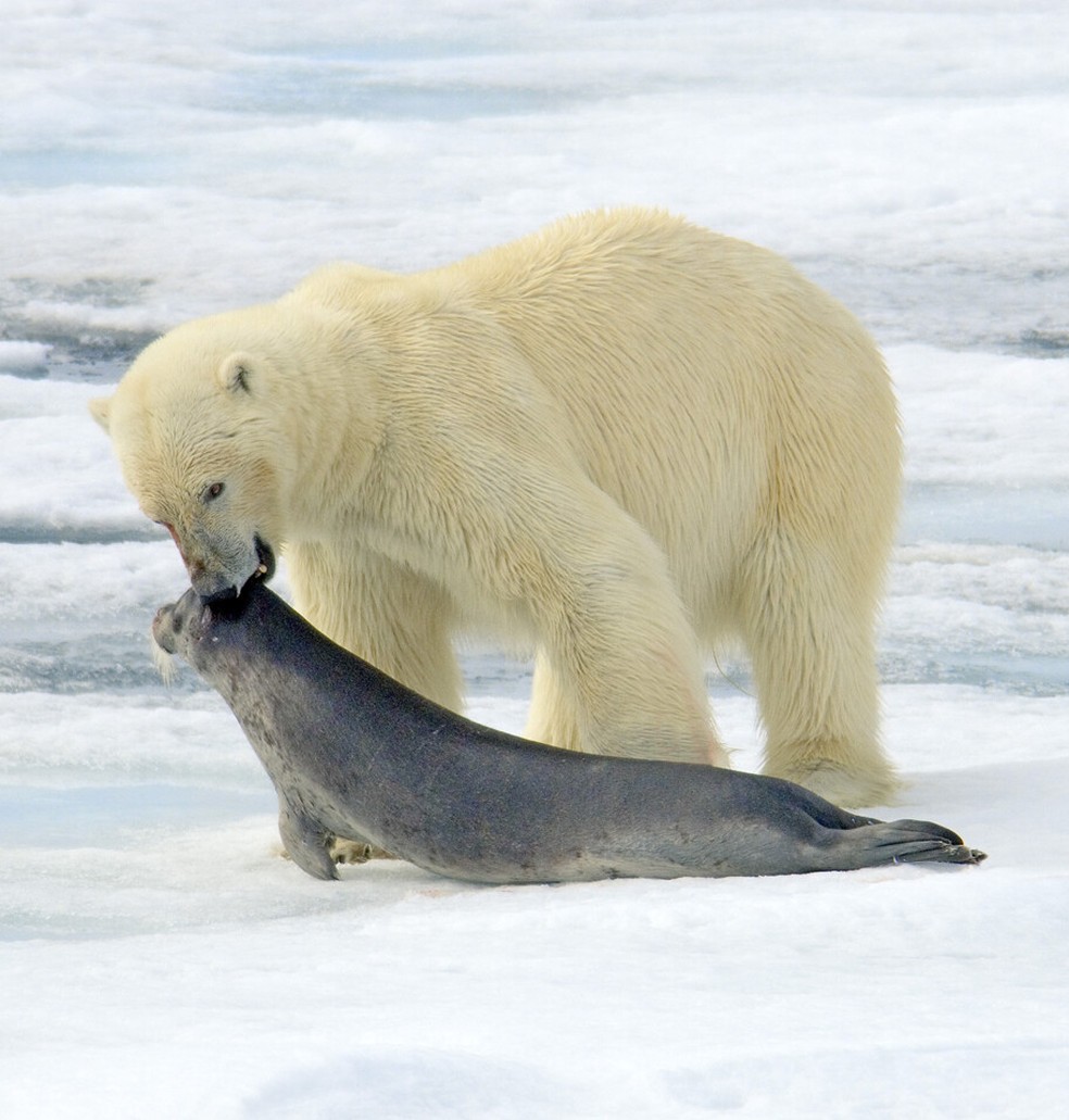  Holly EL Gamblin et al.