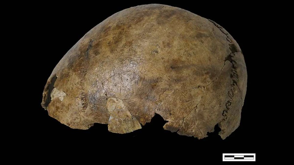 Um crânio de mulher romana foi adicionado ao resto do esqueleto neolítico — Foto: Crédito da imagem: Veselka et al.)