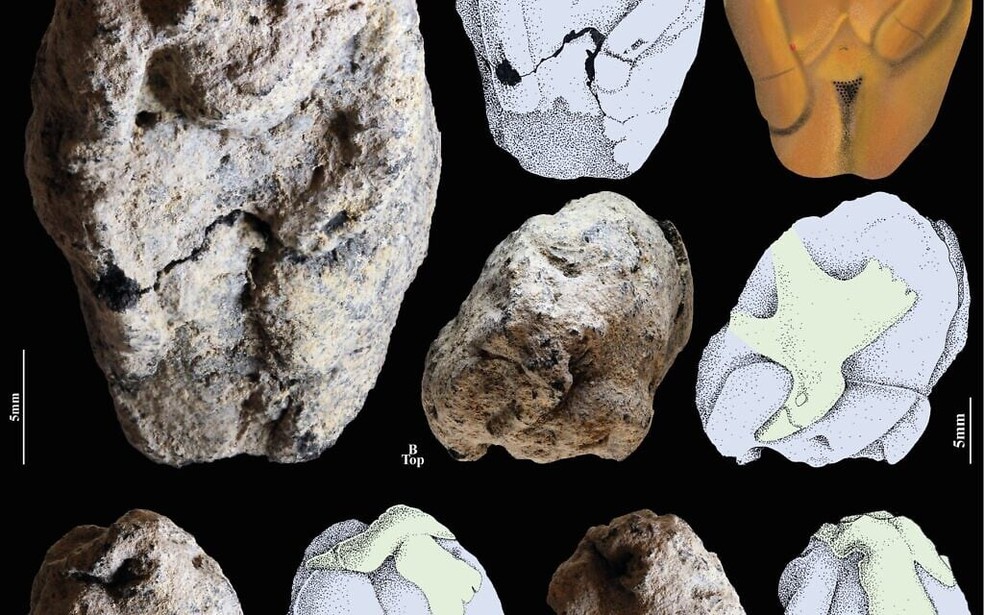  Laurent Davin/Universidade Hebraica de Jerusalém