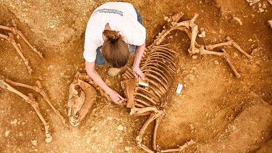 Restos de cavalos enterrados há 2 mil anos são encontrados na França