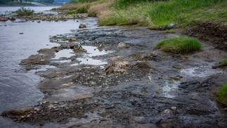 Leito de rio exposto de onde os fósseis foram encontrados — Foto: Divulgação/Toshihiro Yamada