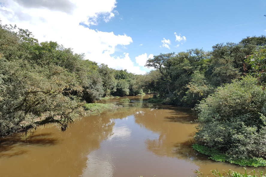Imagen de río amazónico.