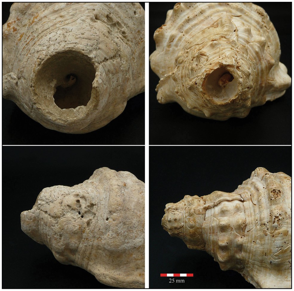  Miquel López-Garcia e Margarita Díaz-Andreu