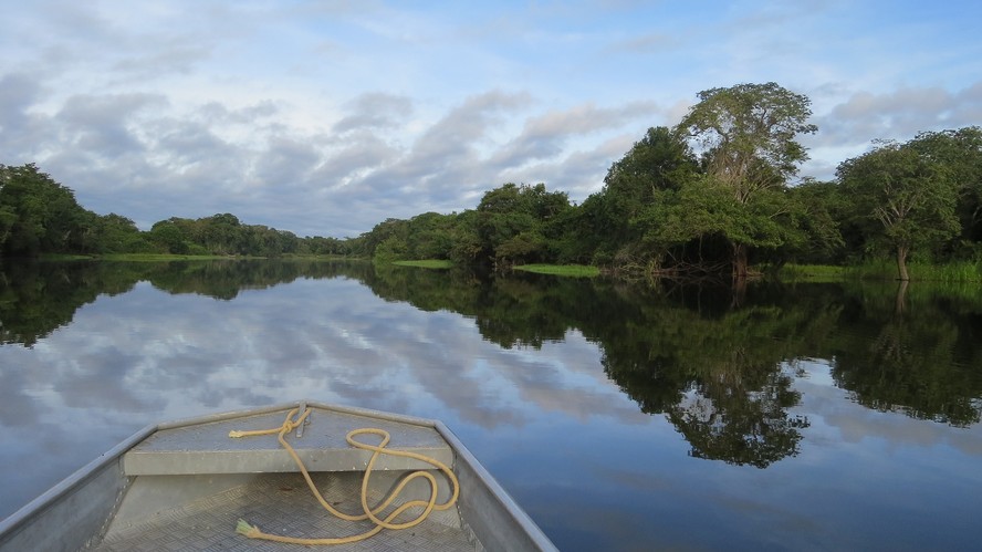 Entidades científicas publicam 'Carta de Manaus' em defesa da Amazônia