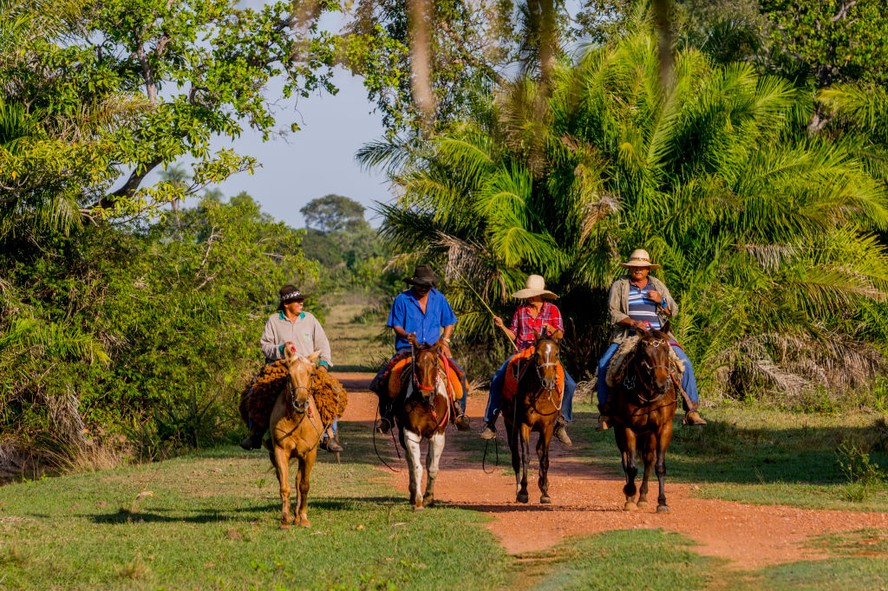 Grupo de pantaneiros cavalga no sul do Pantanal, no Mato Grosso do Sul
