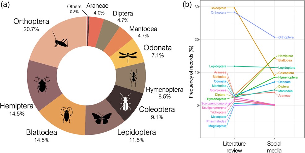 Frequência relativa de consumo de diferentes ordens de artrópodes por gatos com base em registros de fotos e vídeos em duas plataformas online, iStock e TikTok (a); e comparação entre a frequência (%) de registros para cada ordem de artrópodes registrados em nosso estudo com base em postagens em mídias sociais versus aqueles compilados por pesquisas anteriores (b) — Foto: Letícia Alexandre; Raúl Costa-Pereira