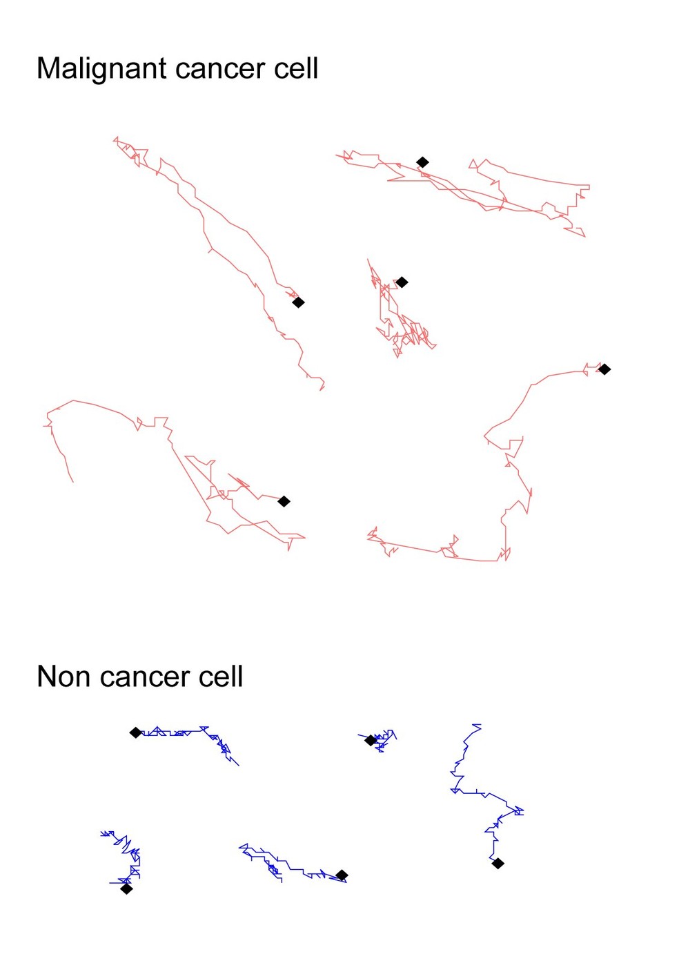 Comparação dos movimentos de células cancerígenas (vermelho) e não cancerígenas (azul) — Foto: Universidade Metropolitana de Tóquio