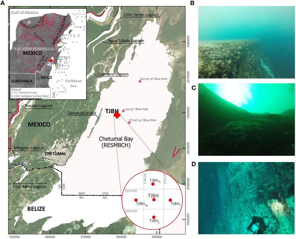 Localização do buraco azul Taam Ja' na Baía de Chetumal, México, e imagens de uma expedição de mergulho em dezembro de 2023 — Foto: Alcérreca-Huerta et al. Frontiers in Marine Science