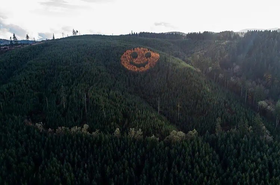 Formado por lariços, o rosto amarelo foi projetado em 2011, quando os emojis começaram a ganhar popularidade — Foto: The Oregonian