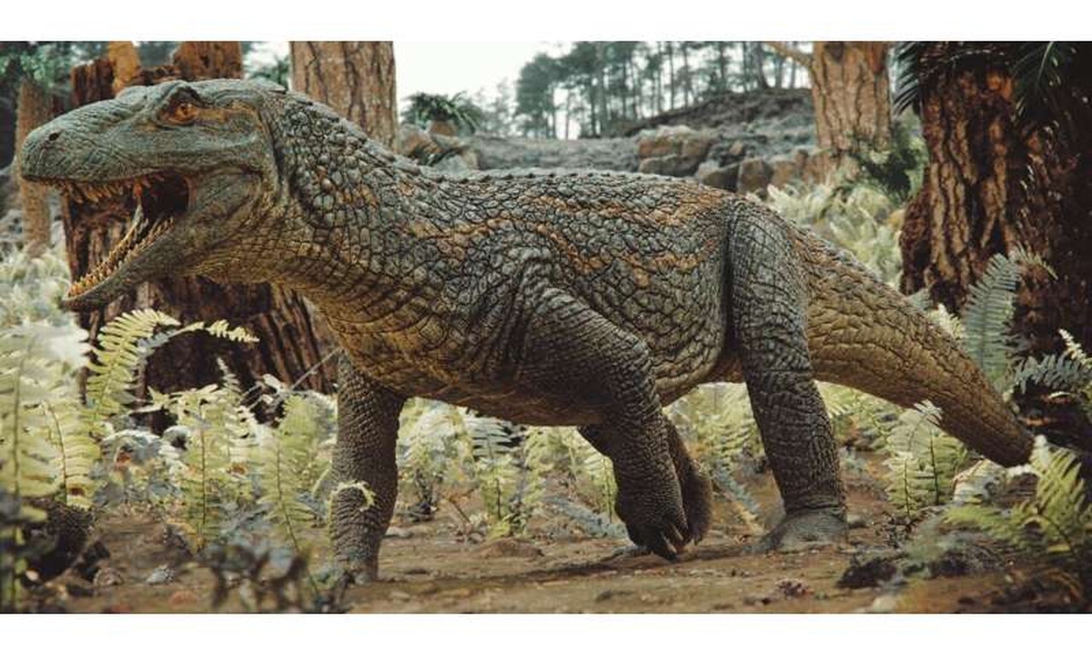 Descoberto no Brasil ancestral do crocodilo que se parecia com dinossauro