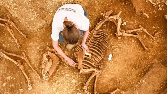 Cavalos de 2 mil anos na França podem ter sido parte de ritual de sacrifício