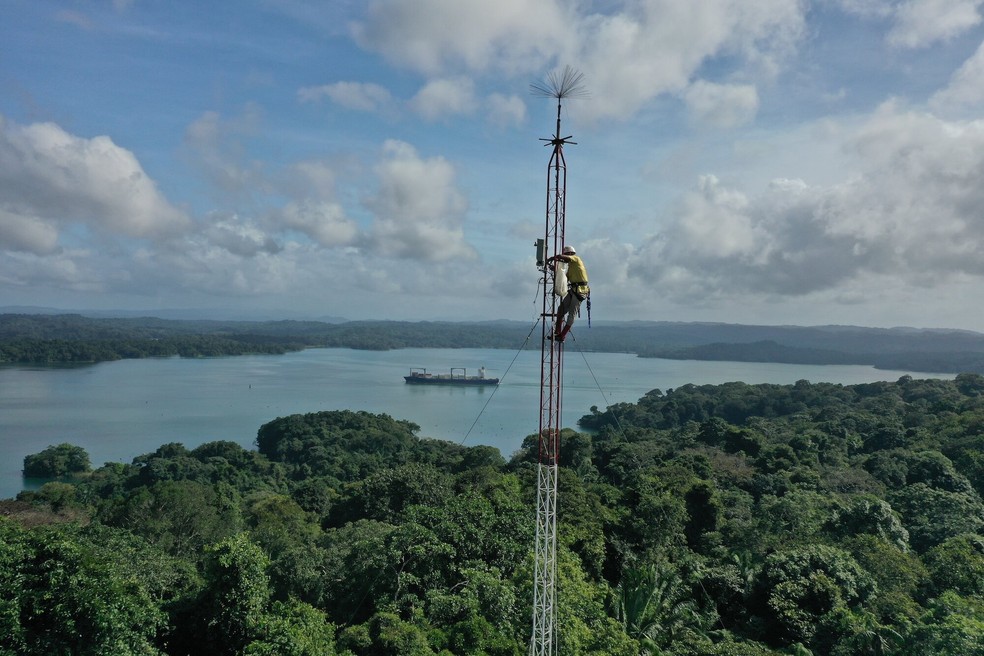Técnico sobe em uma torre para detectar e localizar raios na área de estudo — Foto: Evan Gora/Cary Institute of Ecosystem Studies