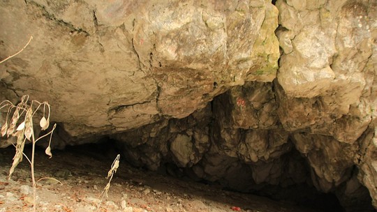 Experts brasileiros vão buscar na Romênia os traços dos últimos neandertais