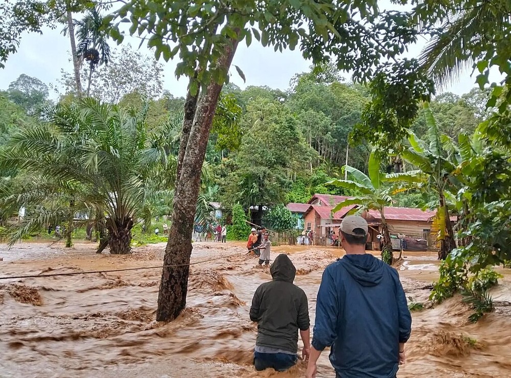 A luta de um macaco raríssimo para sobreviver a uma devastadora enchente