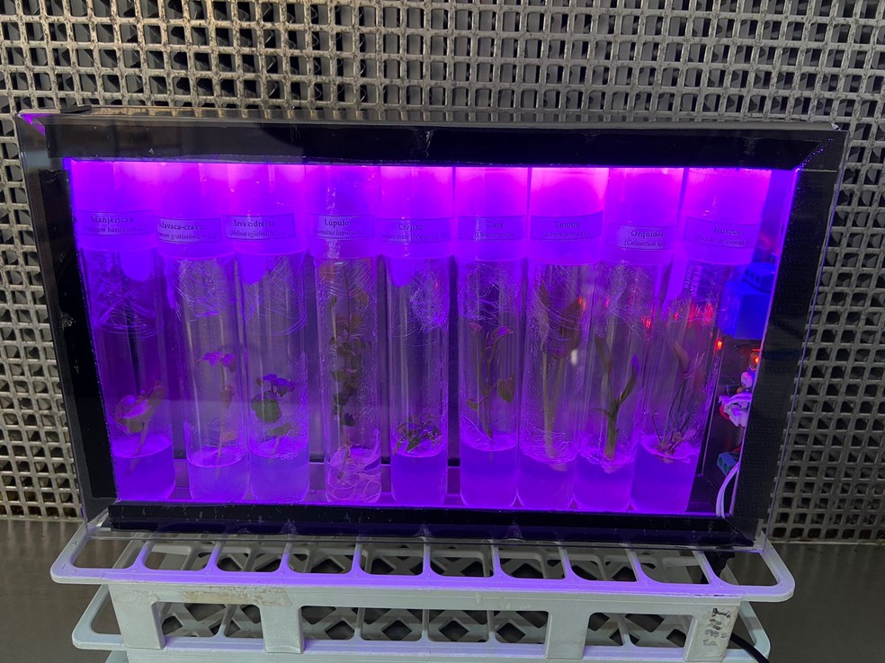 Banco de Germoplasma Compacto para transportar e armazenar germoplasma in vitro até Marte — Foto: Divulgação